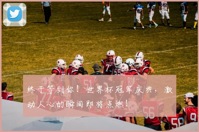终于等到你!世界杯冠军庆典,激动人心的瞬间即将点燃!