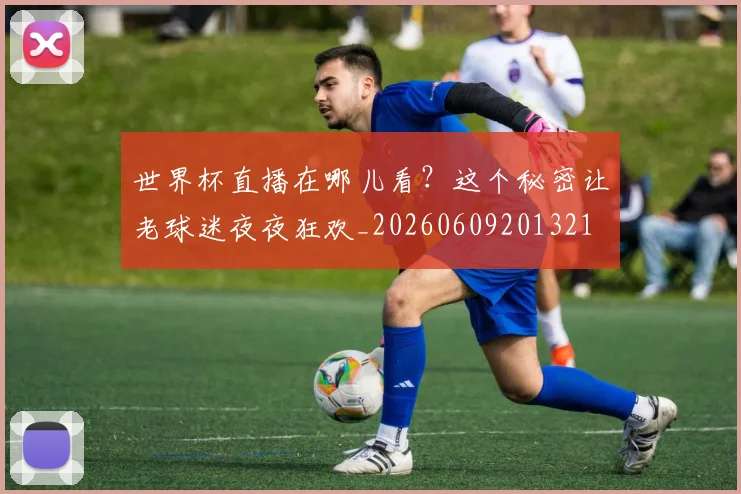 世界杯直播在哪儿看?这个秘密让老球迷夜夜狂欢_20260609201321