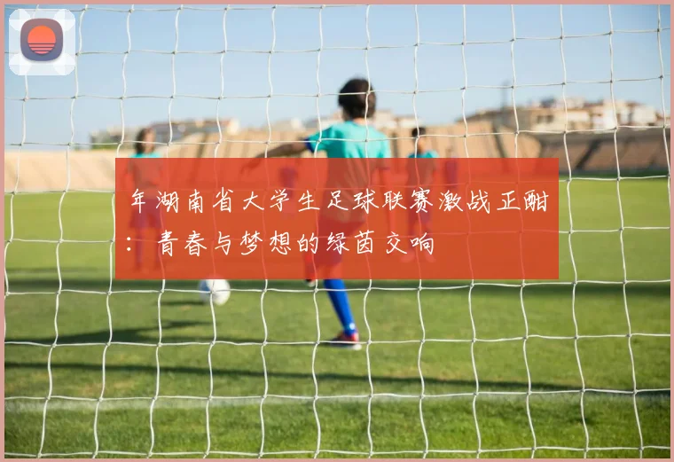 年湖南省大学生足球联赛激战正酣:青春与梦想的绿茵交响