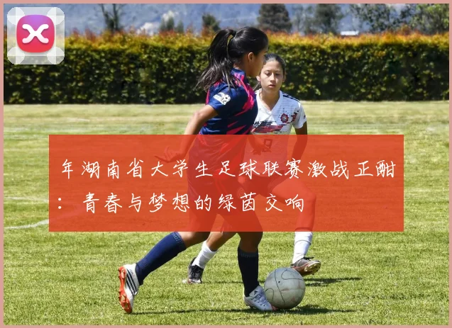 年湖南省大学生足球联赛激战正酣:青春与梦想的绿茵交响